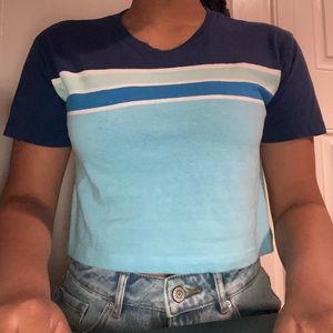 Pacsun Retro Cropped Tee